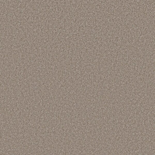 Shaw Floors Carpet Affirmation II Plateau 00110_5E795