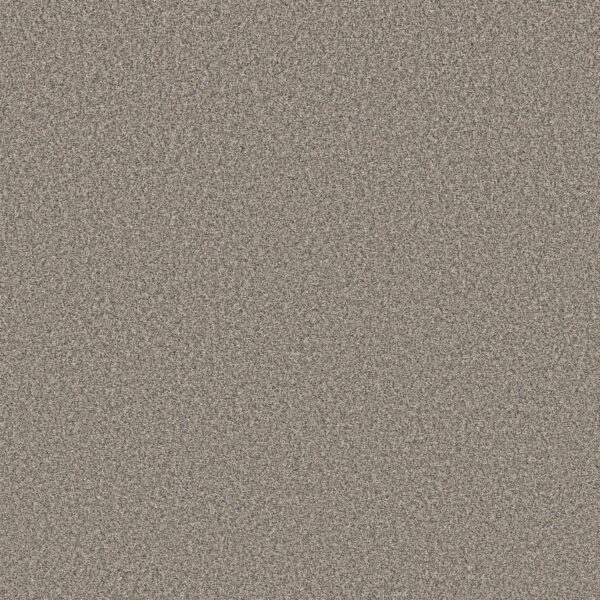 Shaw Floors Carpet Affirmation II Bistro 00111_5E795