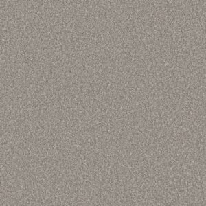 Shaw Floors Carpet Affirmation II Lunar Surface 00500_5E795
