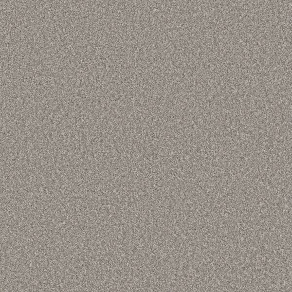 Shaw Floors Carpet Affirmation II Lunar Surface 00500_5E795