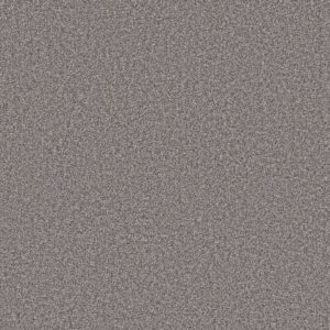 Shaw Floors Carpet Affirmation II Rush Hour 00501_5E795