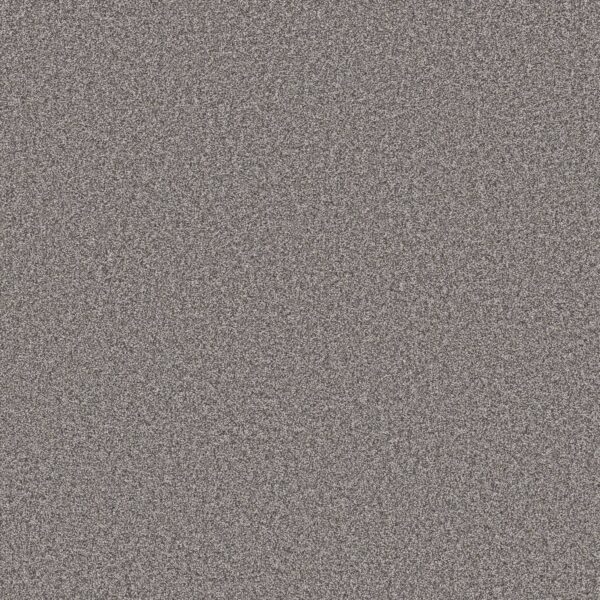 Shaw Floors Carpet Affirmation II Rush Hour 00501_5E795