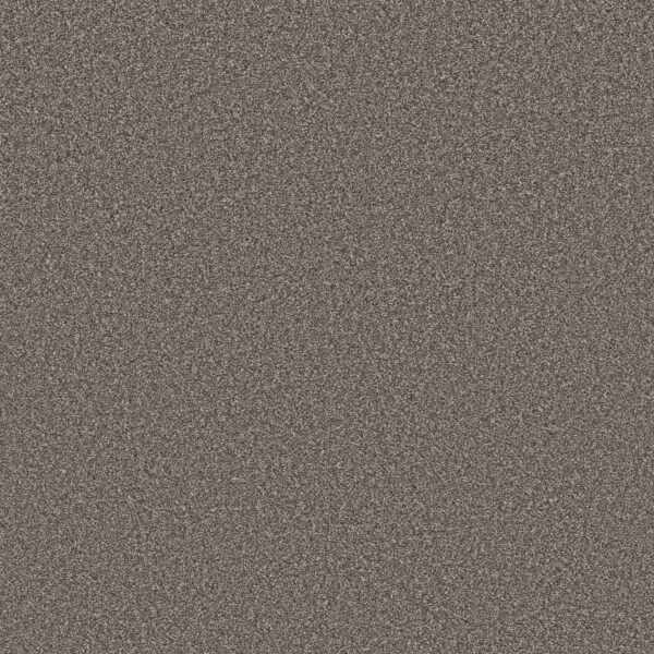 Shaw Floors Carpet Affirmation II Orion Gray 00512_5E795