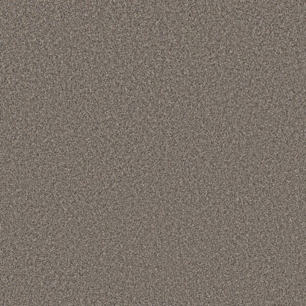 Shaw Floors Carpet Affirmation II Granite 00513_5E795