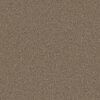 Shaw Floors Carpet Affirmation II Spanish Brown 00701_5E795