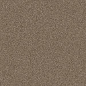 Shaw Floors Carpet Affirmation II Spanish Brown 00701_5E795
