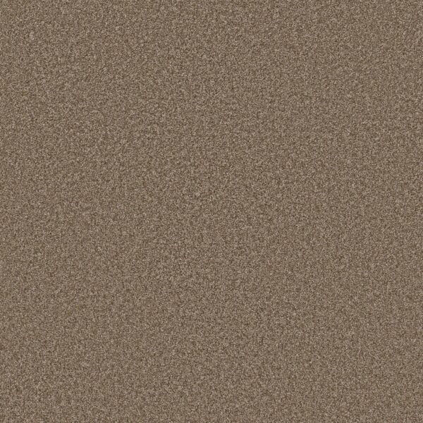 Shaw Floors Carpet Affirmation II Spanish Brown 00701_5E795