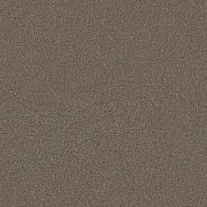 Shaw Floors Carpet Affirmation II Havana 00708_5E795