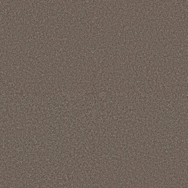 Shaw Floors Carpet Affirmation II Havana 00708_5E795