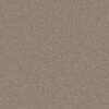 Shaw Floors Carpet Affirmation II Midtown 00711_5E795