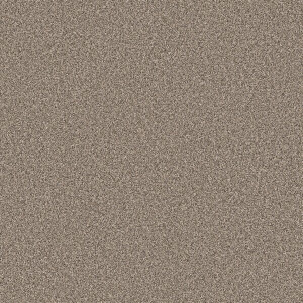 Shaw Floors Carpet Affirmation II Midtown 00711_5E795