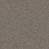 Shaw Floors Carpet Affirmation II Creek Bend 00712_5E795