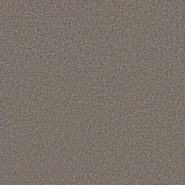 Shaw Floors Carpet Affirmation II Creek Bend 00712_5E795