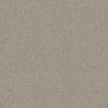 Shaw Floors Carpet High Ranking B Wind's Breath 00137_5E798