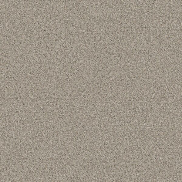 Shaw Floors Carpet High Ranking B Wind's Breath 00137_5E798