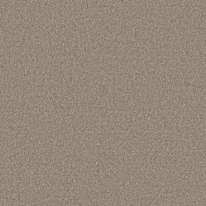 Shaw Floors Carpet High Ranking B Dockside 00139_5E798