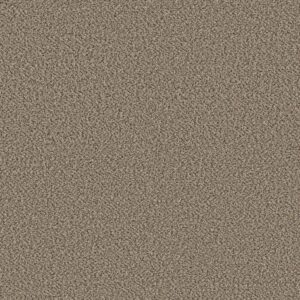 Shaw Floors Carpet High Ranking B Escape 00140_5E798