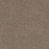 Shaw Floors Carpet Grand Outlook Hearth Stone 00101_5E802