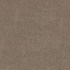 Shaw Floors Carpet Grand Outlook Hearth Stone 00101_5E802