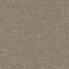 Shaw Floors Carpet Grand Outlook Cameo 00105_5E802