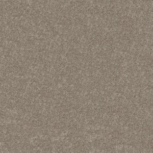 Shaw Floors Carpet Grand Outlook Cameo 00105_5E802