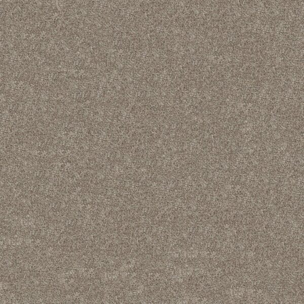 Shaw Floors Carpet Grand Outlook Cameo 00105_5E802