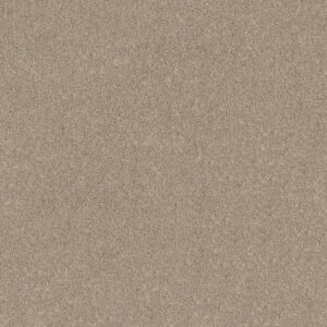 Shaw Floors Carpet Grand Outlook Natural 00106_5E802