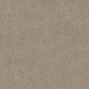 Shaw Floors Carpet Grand Outlook Sculpture 00107_5E802