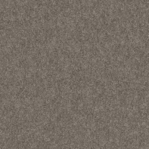 Shaw Floors Carpet Grand Outlook Worn Path 00108_5E802