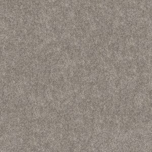 Shaw Floors Carpet Grand Outlook Mission Ridge 00111_5E802