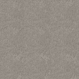 Shaw Floors Carpet Grand Outlook Shadow 00505_5E802