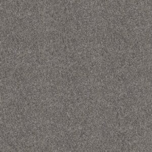 Shaw Floors Carpet Grand Outlook Aircraft 00506_5E802