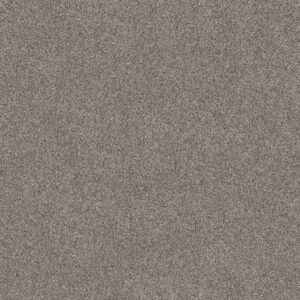 Shaw Floors Carpet Grand Outlook Mystic 00509_5E802