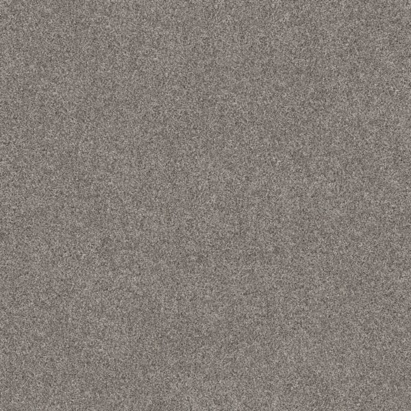 Shaw Floors Carpet Grand Outlook Mystic 00509_5E802