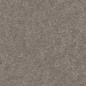 Shaw Floors Carpet Grand Outlook Hammerhead 00512_5E802