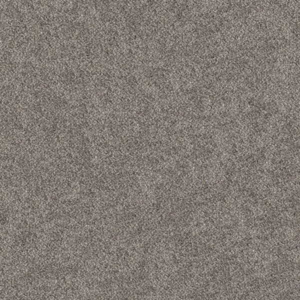 Shaw Floors Carpet Grand Outlook Hammerhead 00512_5E802