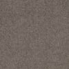 Shaw Floors Carpet Grand Outlook Homestead 00700_5E802