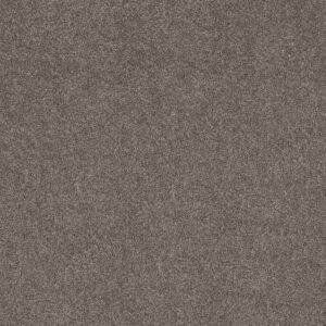 Shaw Floors Carpet Grand Outlook Homestead 00700_5E802