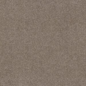 Shaw Floors Carpet Grand Outlook Pea Gravel 00705_5E802