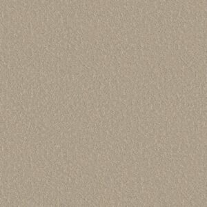 Shaw Floors Carpet Clever Choice Twine 00100_5E808