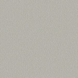 Shaw Floors Carpet Clever Choice Forest Fog 00107_5E808