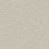 Shaw Floors Carpet Clever Choice Scotch Mist 00109_5E808