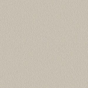 Shaw Floors Carpet Clever Choice Scotch Mist 00109_5E808