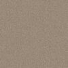 Shaw Floors Carpet Clever Choice Kindling 00113_5E808