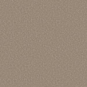 Shaw Floors Carpet Clever Choice Kindling 00113_5E808