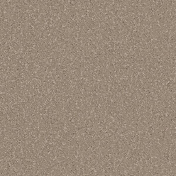 Shaw Floors Carpet Clever Choice Kindling 00113_5E808