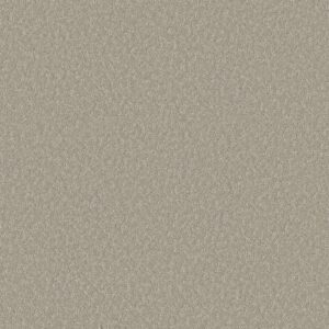 Shaw Floors Carpet Clever Choice Sandstone 00115_5E808