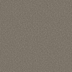 Shaw Floors Carpet Clever Choice Fallen Acorn 00501_5E808