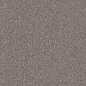Shaw Floors Carpet Clever Choice Lunar Haze 00509_5E808
