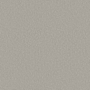 Shaw Floors Carpet Clever Choice Sterling 00556_5E808